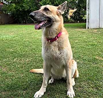 Photo of Ceila