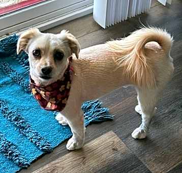 Photo of Taco
