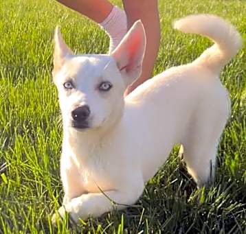 Photo of Elsa