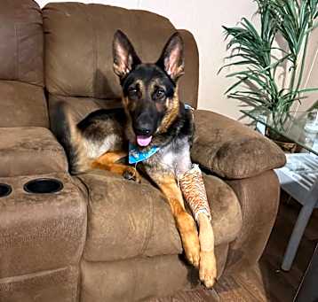 Photo of Max Payne