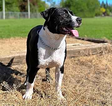 Photo of Duke