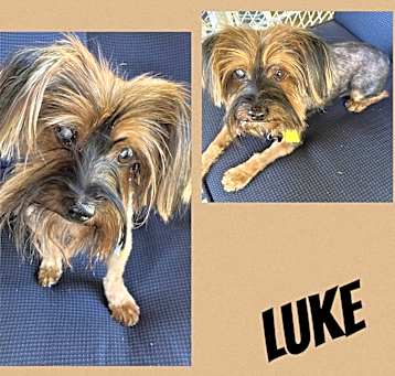 Photo of Luke