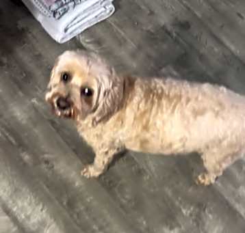 Photo of Mia 7yr