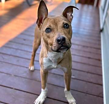 Photo of Miss Peanut 