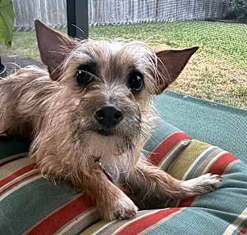 Photo of Bessie