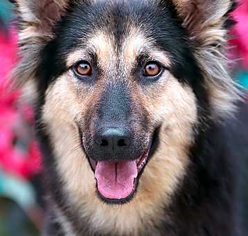 Photo of Gemma von Granzin