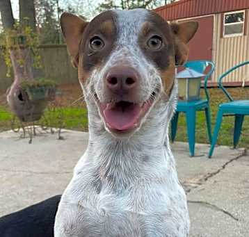 Photo of Maybelle - My my I'm Adorable!