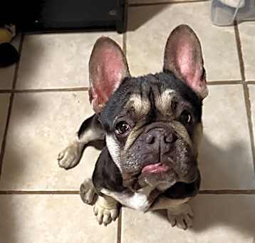 Photo of Gigi