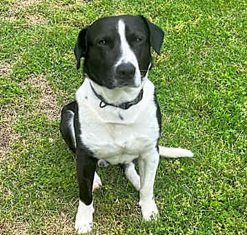 Photo of Thomas
