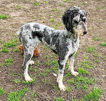 Photo of Ramona