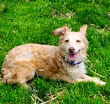 Photo of Skittles