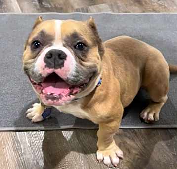 Photo of Tank