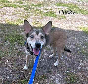 Photo of Rocky