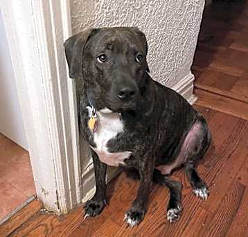 Photo of Jet