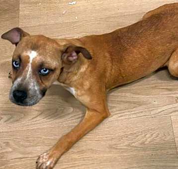 Photo of Eenie