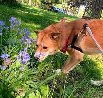 Photo of Kaido