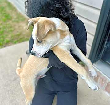 Photo of Cubby