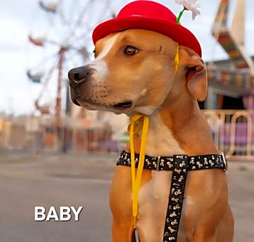 Photo of Baby