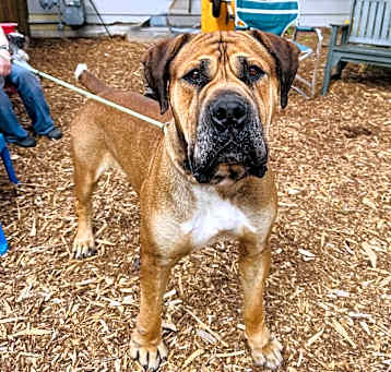 Photo of Fasa