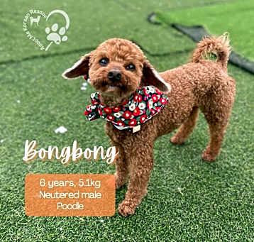 Photo of Bongbong