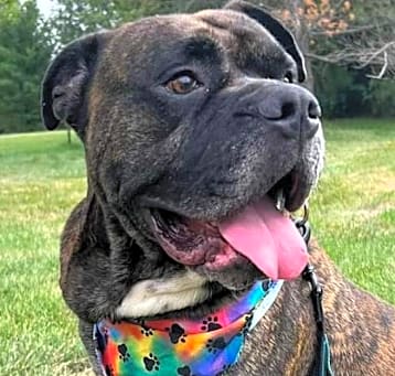 Photo of Max