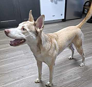 Photo of Logan