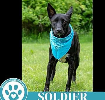 Photo of Soldier 050325