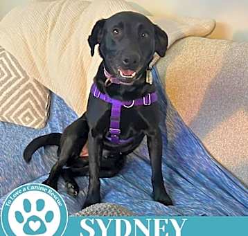 Photo of Sydney 050325