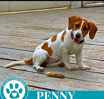 Photo of Penny 050325