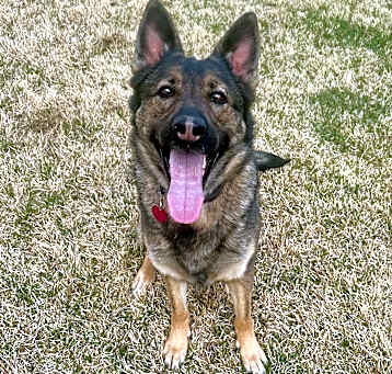 Photo of Sage