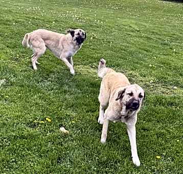 Photo of Spice and Sugar
