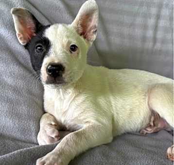 Photo of Valen