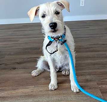 Photo of Ajax
