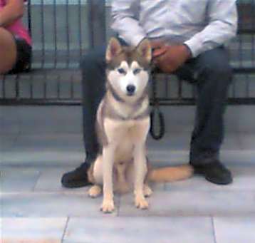 Photo of ZEUS