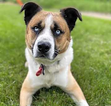 Photo of Deuce