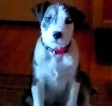 Photo of Eli