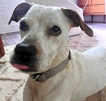 Photo of Emma