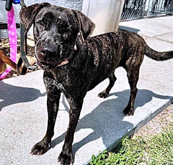 Photo of Skye-Very Sweet Girl!