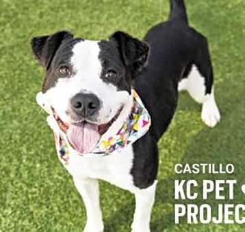 Photo of Castillo