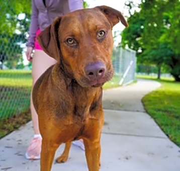 Photo of TAJ