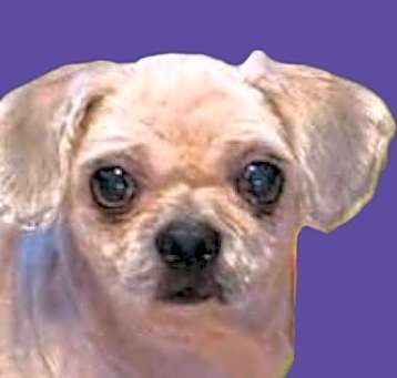 Photo of Arnold