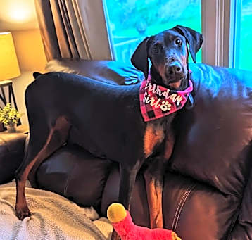 Photo of Remi