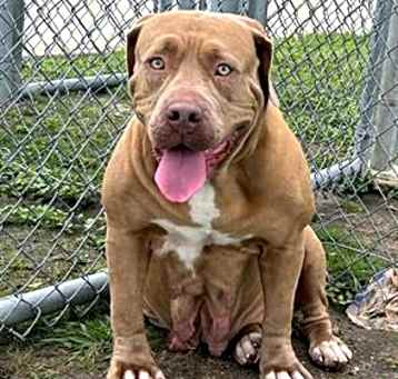 Photo of XENA