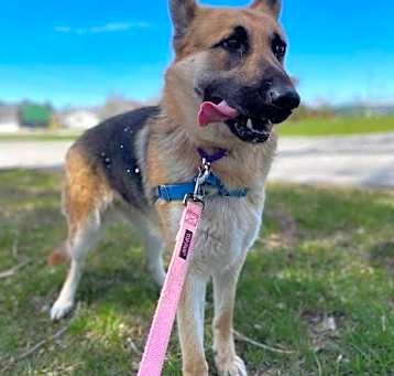 Photo of Luna