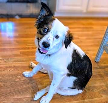 Photo of Missy
