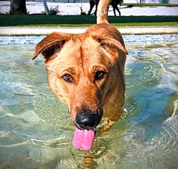 Photo of Doug