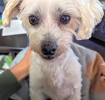 Photo of Macy
