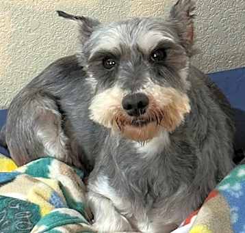 Photo of Gretchen