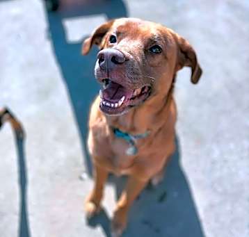 Photo of Roscoe