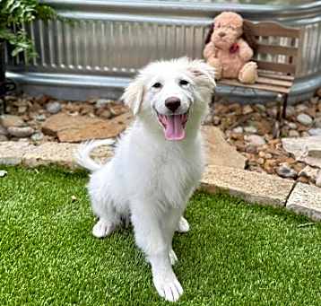 Photo of Osa
